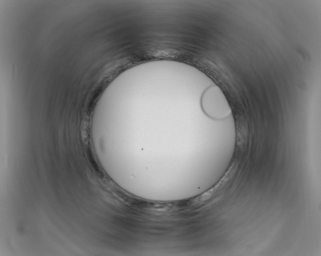 X0000111650175200907171106