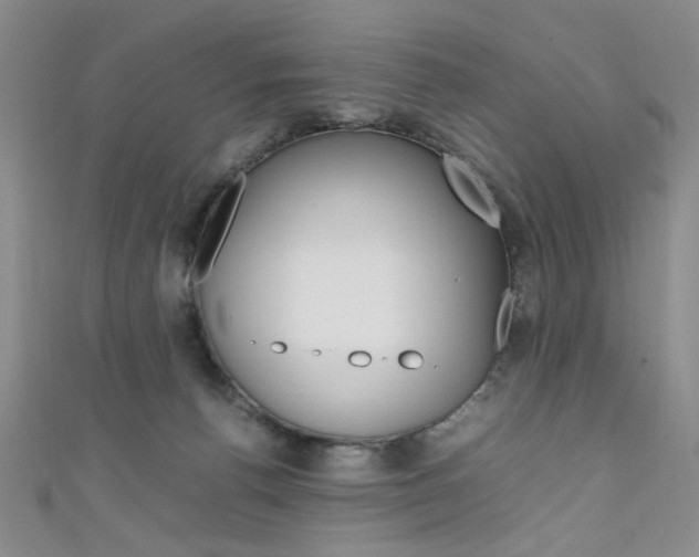 X0000111650176200907171106