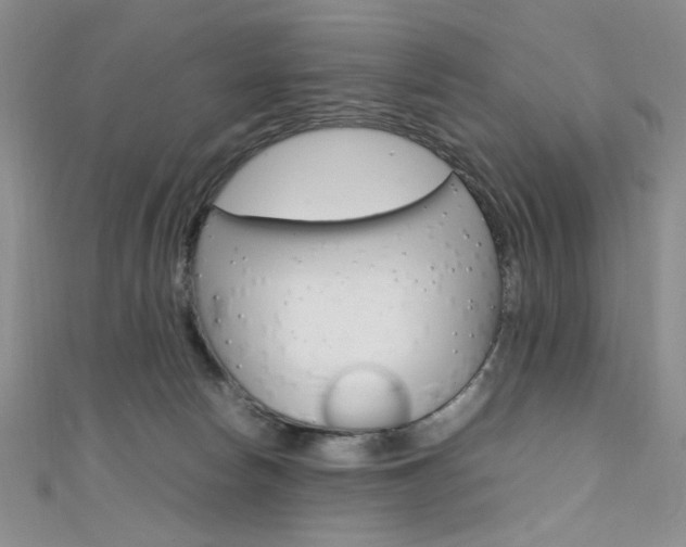X0000111650178200907171106