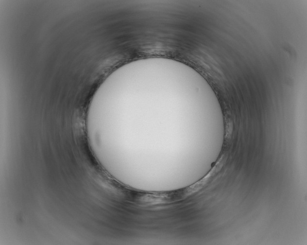 X0000111650179200907171106