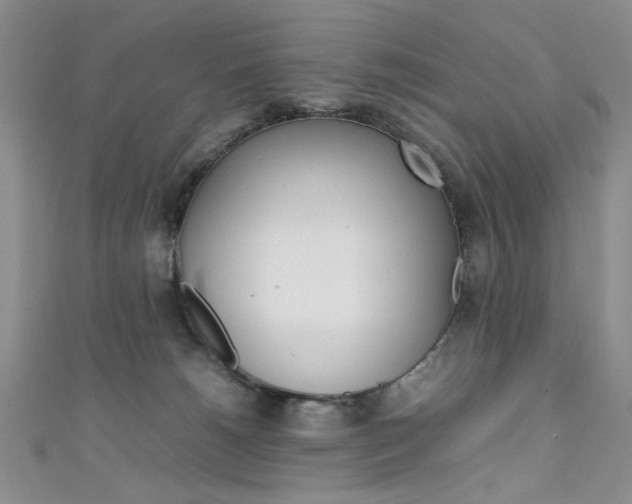 X0000111650180200907171106