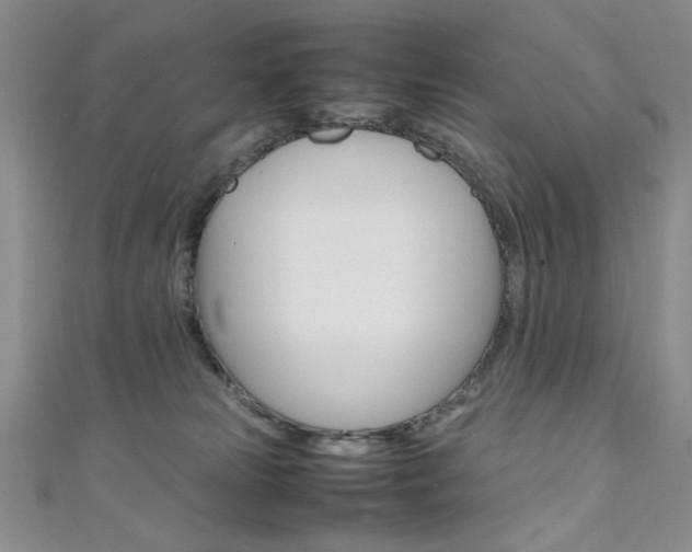 X0000111650181200907171106