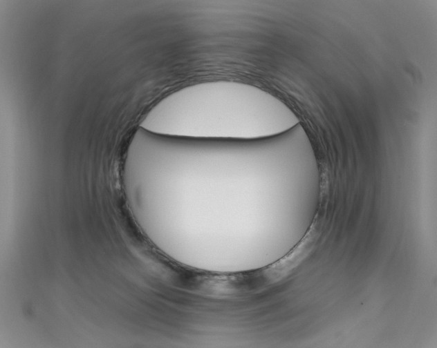 X0000111650182200907171106