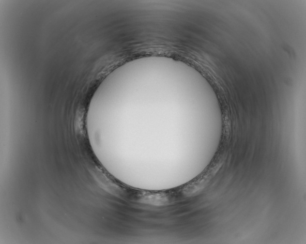 X0000111650185200907171107