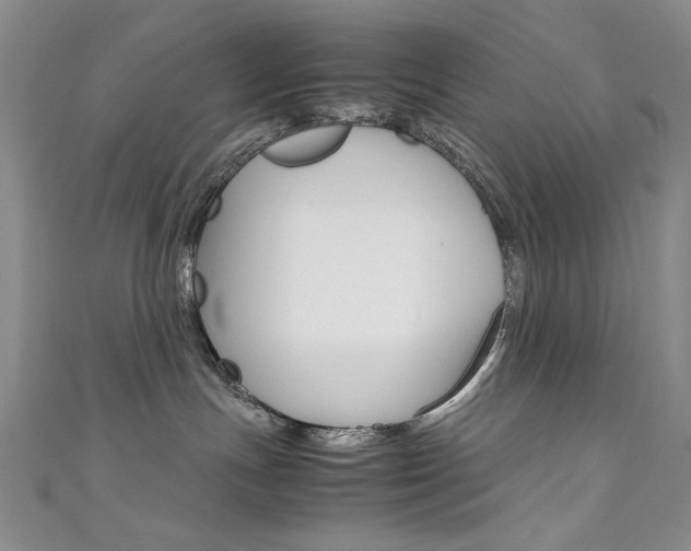 X0000111650191200907171107