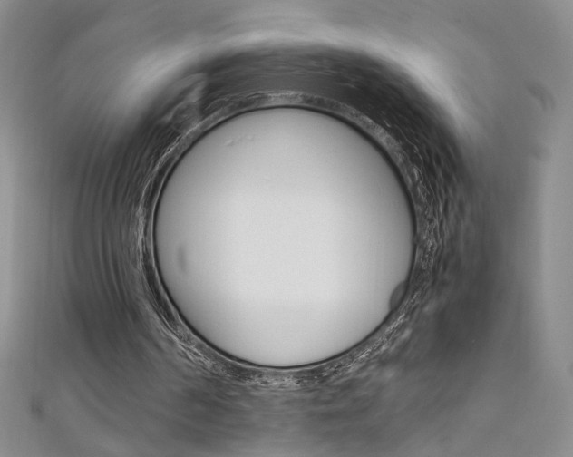 X0000111650194200907171106