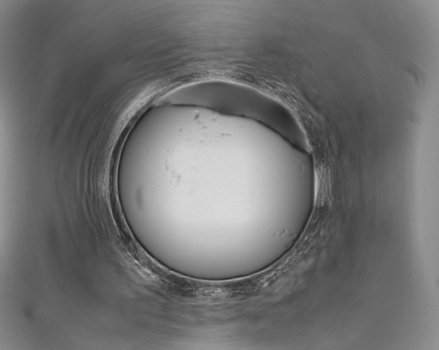 X0000111650195200907171106