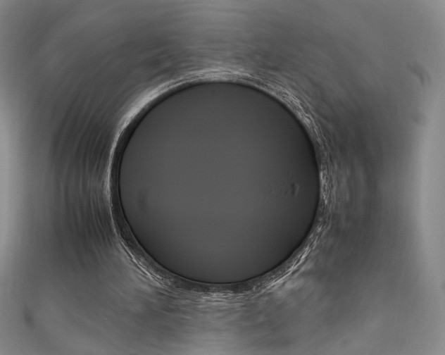 X0000111650196200907171106
