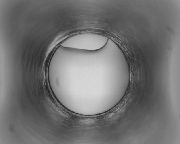 X0000111650198200907171106