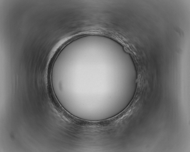 X0000111650200200907171106