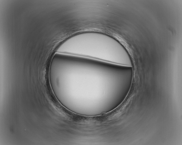 X0000111650201200907171106