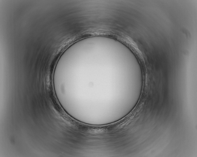 X0000111650202200907171106