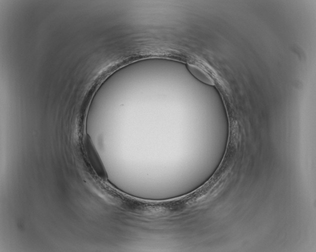 X0000111650203200907171106