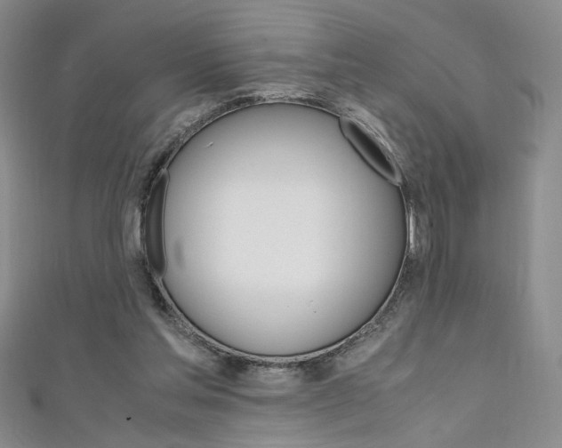X0000111650205200907171106