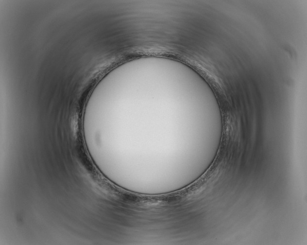X0000111650206200907171106