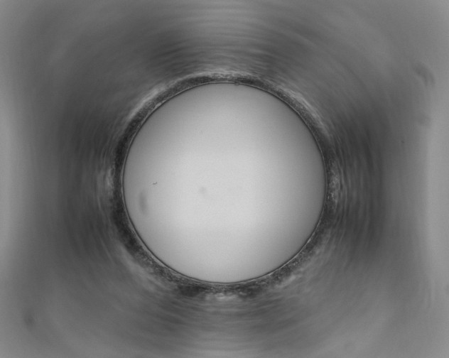 X0000111650208200907171106