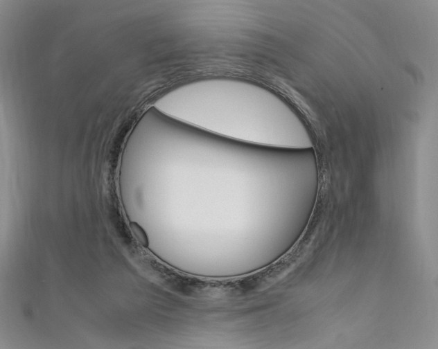 X0000111650209200907171106