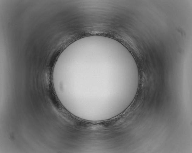 X0000111650210200907171106