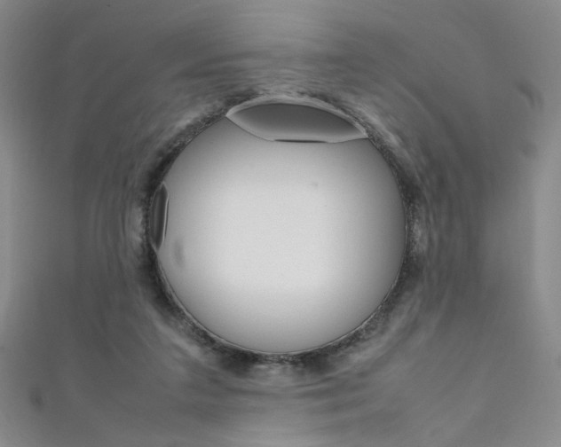X0000111650211200907171106