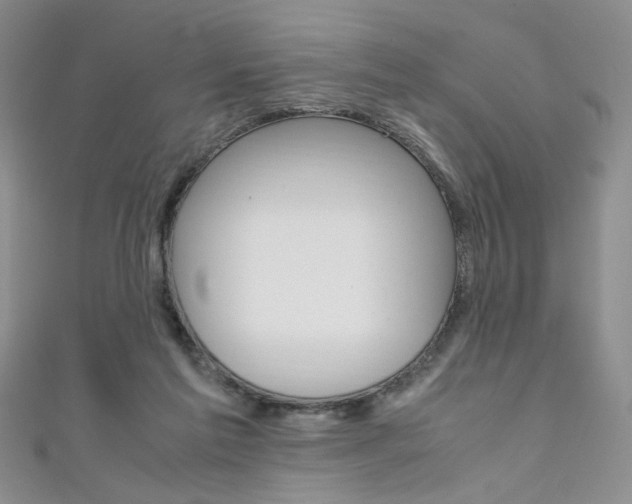 X0000111650213200907171106