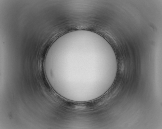 X0000111650214200907171106