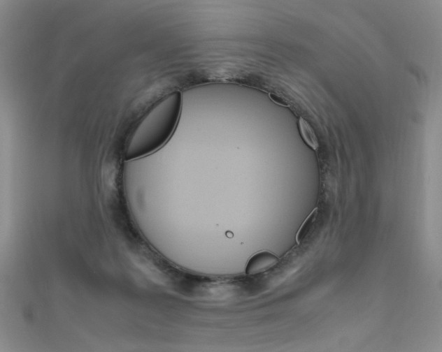 X0000111650219200907171106