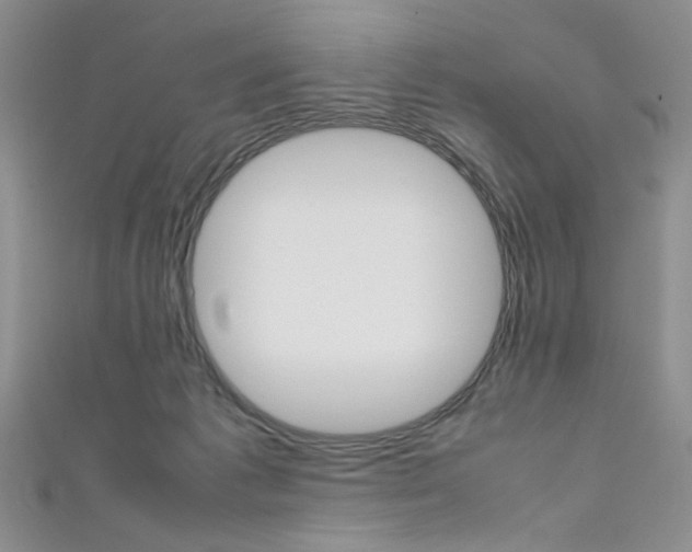 X0000111650221200907171106