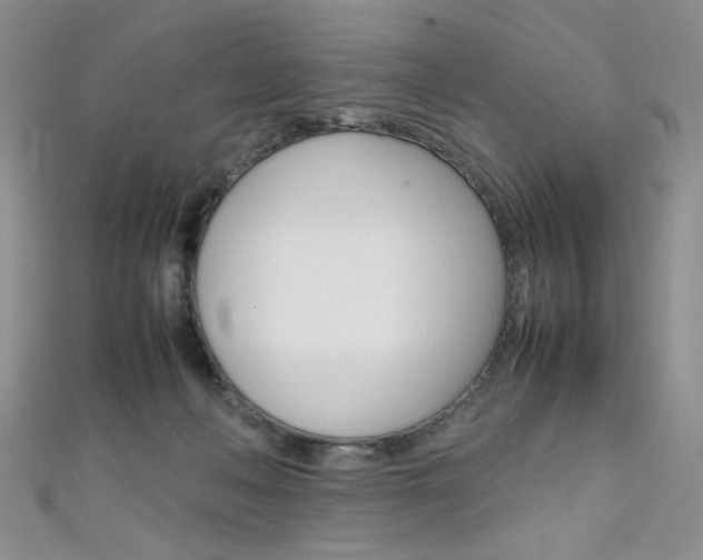 X0000111650222200907171106