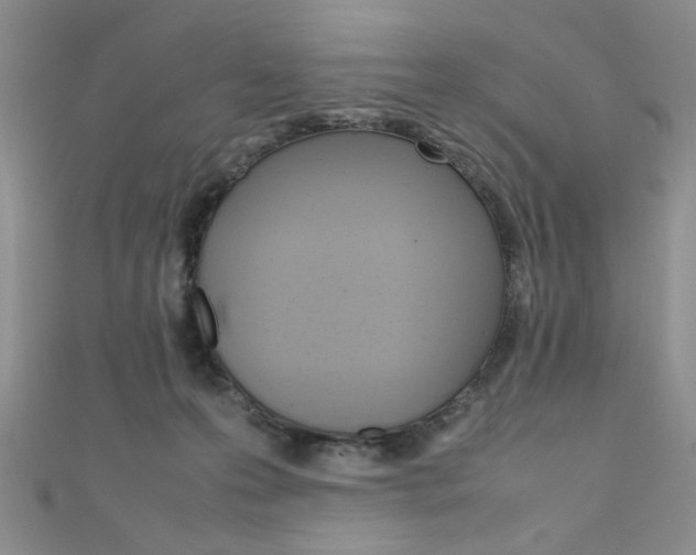 X0000111650223200907171106