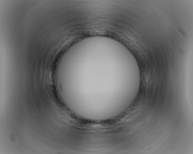 X0000111650224200907171106