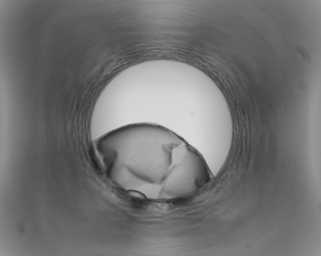 X0000111650227200907171106