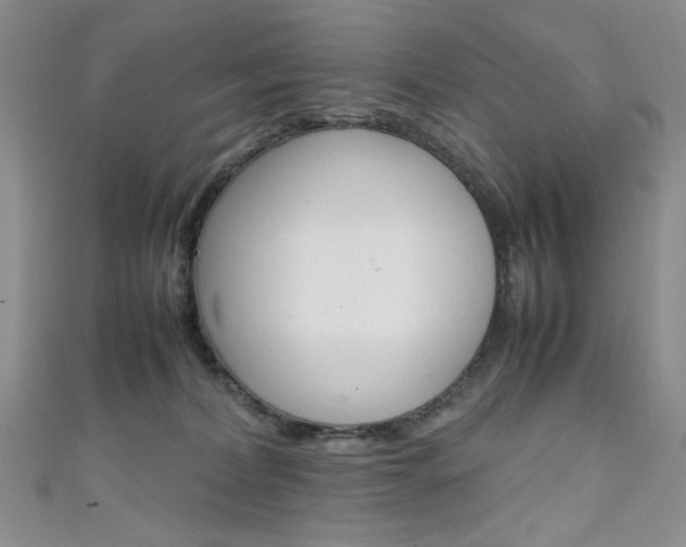X0000111650228200907171106