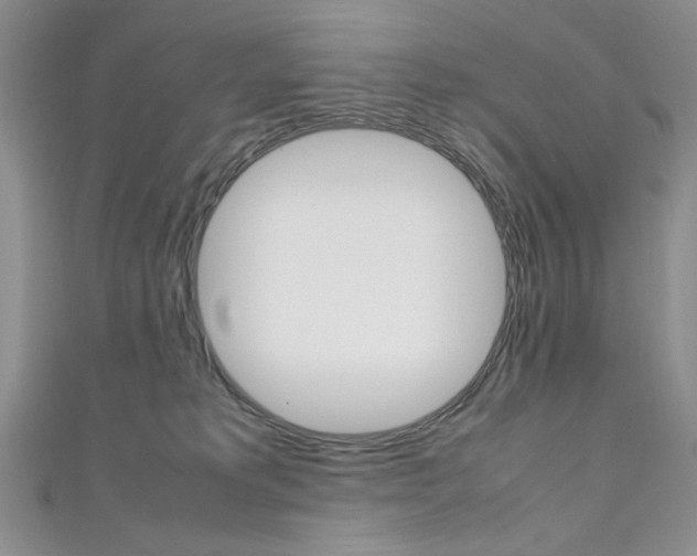 X0000111650229200907171106