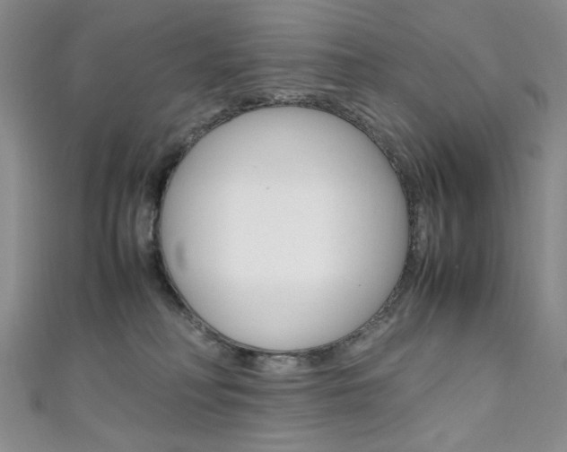 X0000111650230200907171106