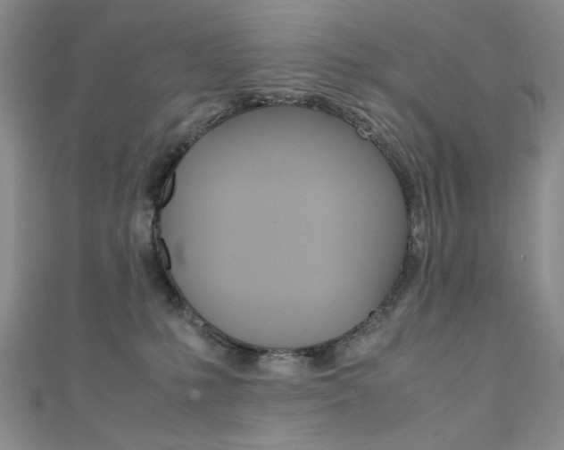 X0000111650231200907171106