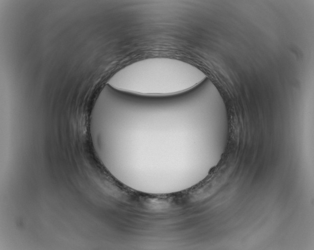 X0000111650232200907171106