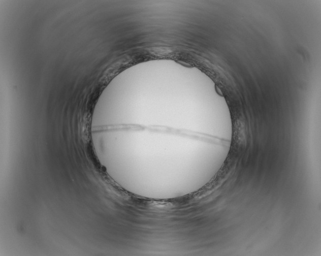 X0000111650234200907171105