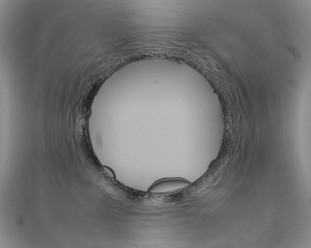 X0000111650235200907171105
