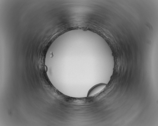 X0000111650236200907171105