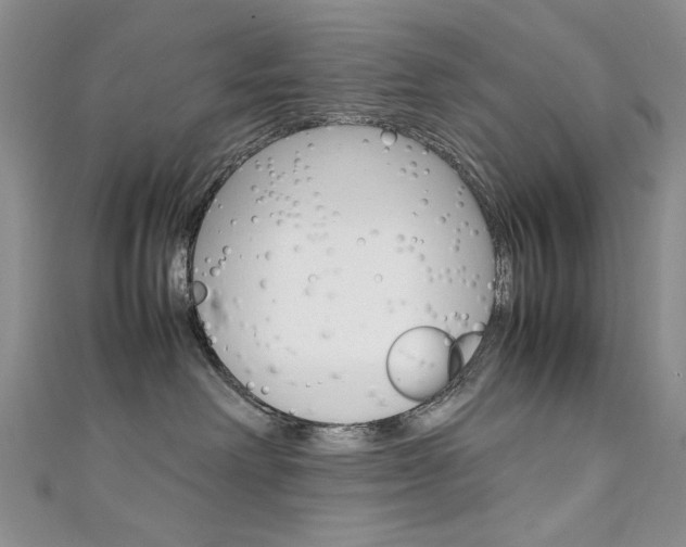 X0000111650238200907171105