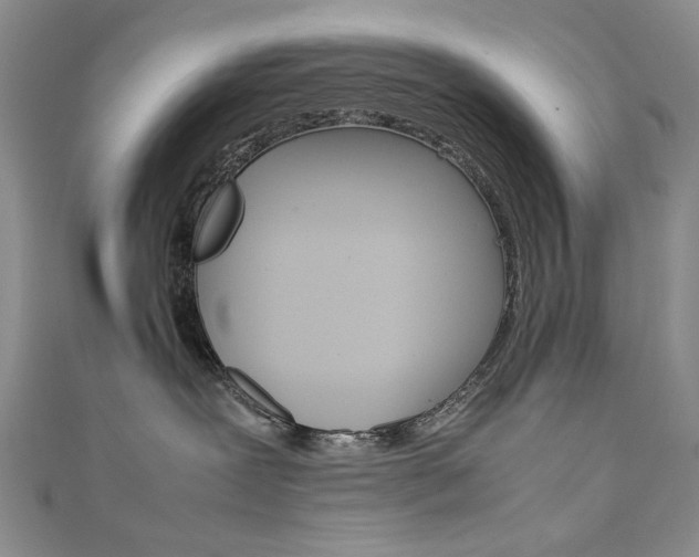 X0000111650239200907171105