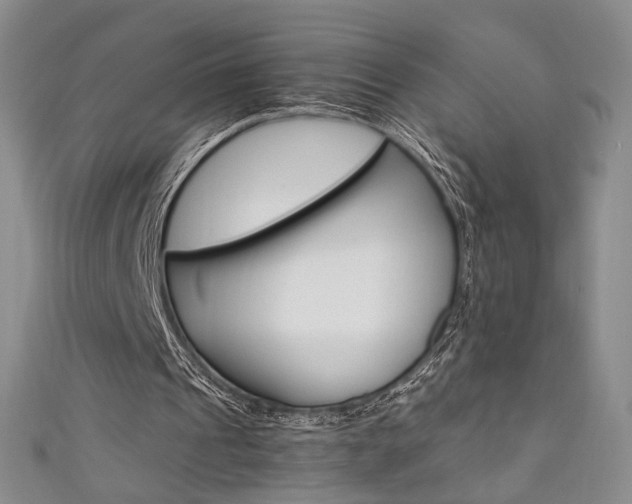 X0000111650241200907171105
