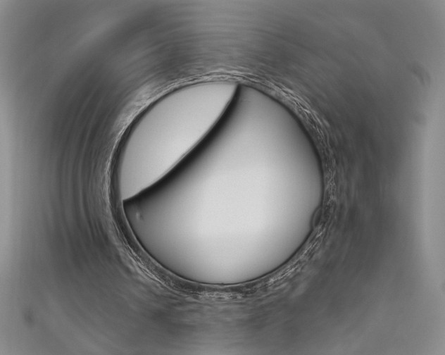 X0000111650242200907171105