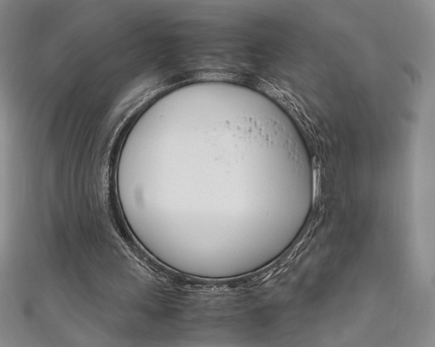 X0000111650243200907171105