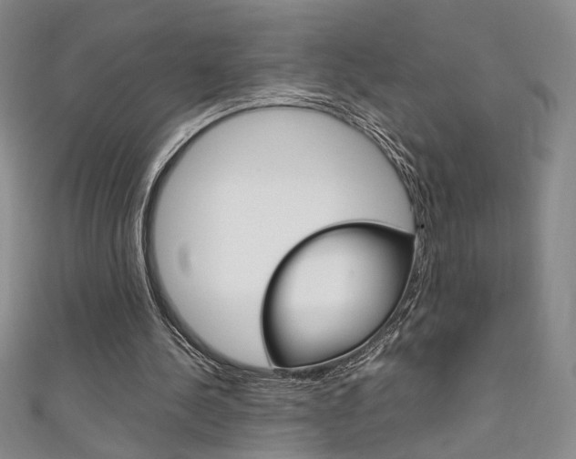 X0000111650244200907171105
