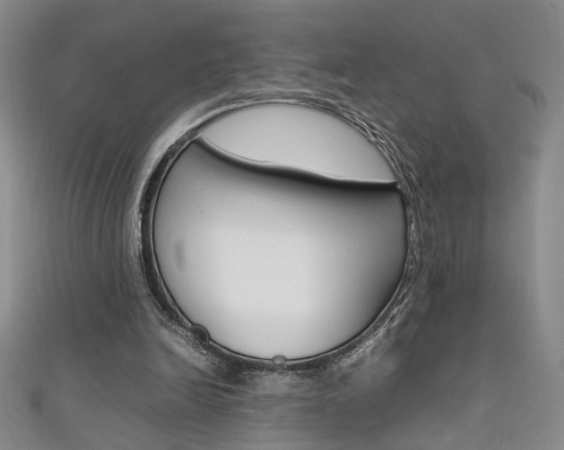 X0000111650246200907171105