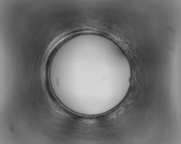 X0000111650247200907171105