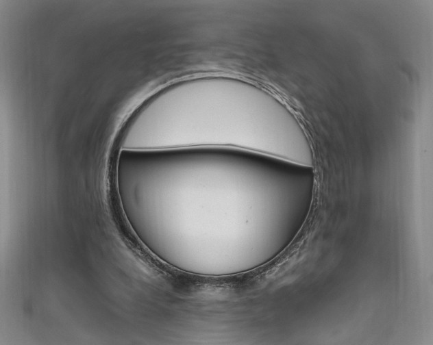 X0000111650248200907171105