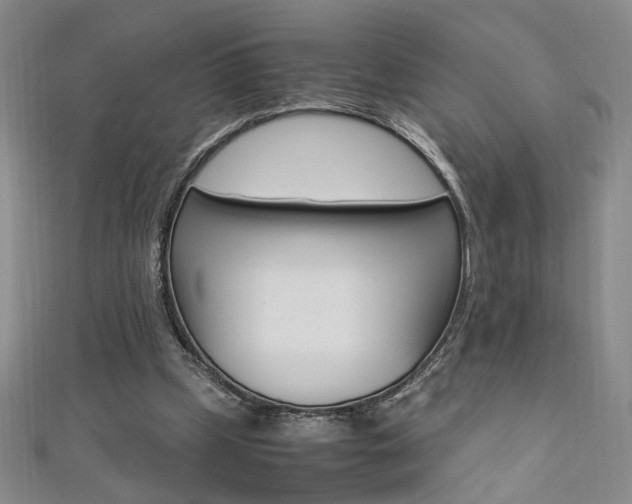 X0000111650249200907171105