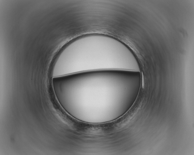 X0000111650252200907171105